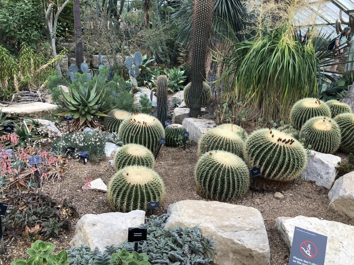 2025-London-Londen-伦敦